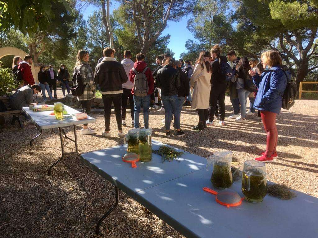 Prácticas grado y master